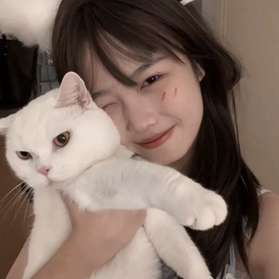 三都赋